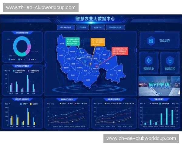 数据波尔图—打造可视化数据决策的新格局